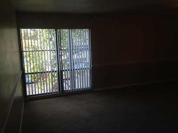 Trees outside Living Rm 