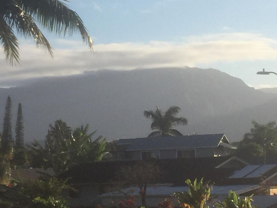 1st image of 2330 Kamalii St #B