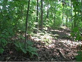 4th image of 3558 Glen Oaks Pass
