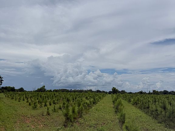 5th image of 4276 County Line Rd