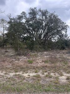 08-22 SW Winding Hills Rd Lot 22, Dunnellon, FL, 34431