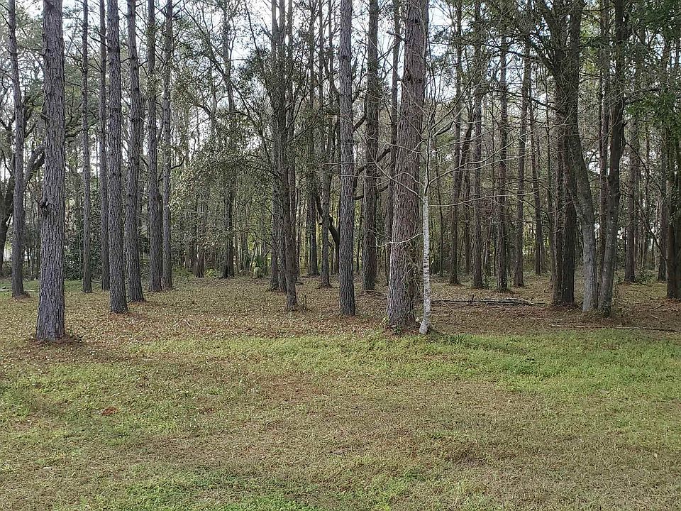 2nd image of 345 Crooked Creek Ln