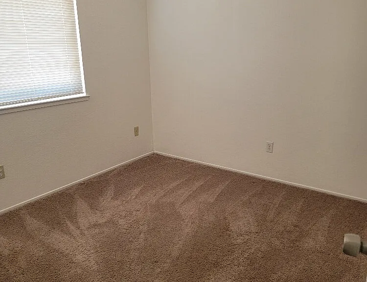 10020 Biscanewoods Way — Photo 12