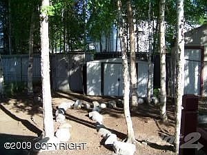 Fenced Back Yard