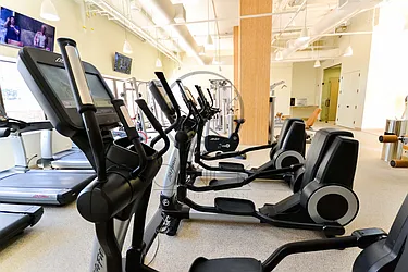 Rented by Olnick Organization