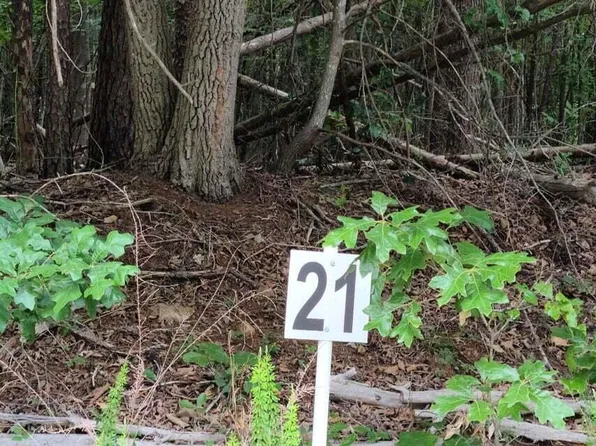 21 Belle Isle Dr, Union Hall, VA 24176