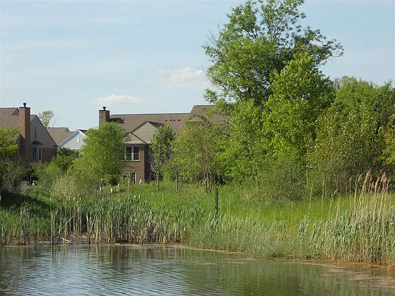 View from Park