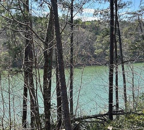 3rd image of LOT 25 Hidden Falls Way