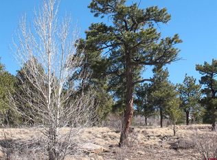 190 Church Creek Cir, South Fork, CO 81154