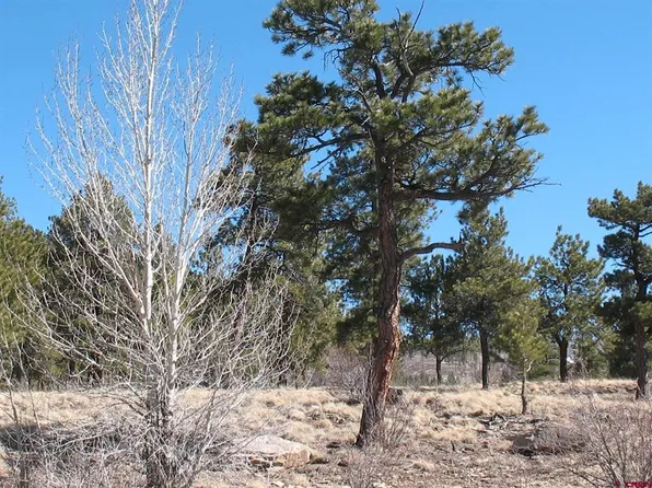 190 Church Creek Circle, South Fork, CO 81154