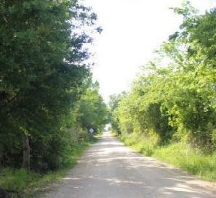 2nd image of 13431 Bundic Rd