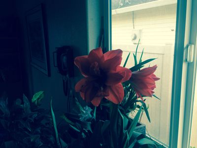 2008 NW 12th St, Battle Ground, WA, 98604