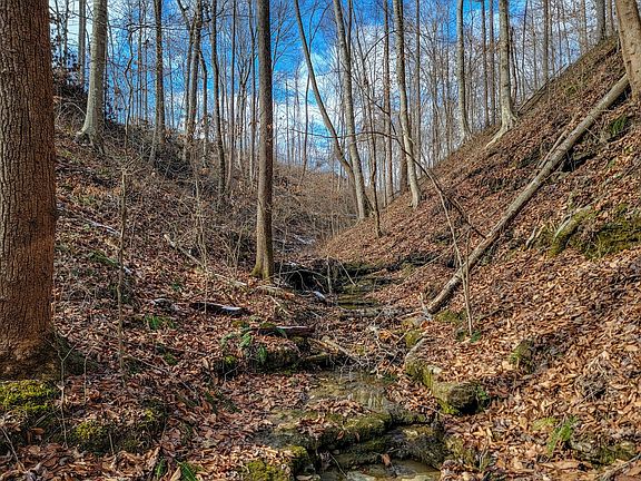 2nd image of 0 Hutchins Bend Rd Lot 3