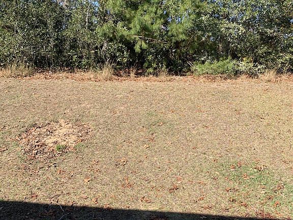 5th image of 134 Hickory Course Trail