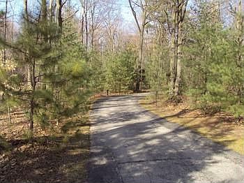 Blacktop driveway from the road to the home.