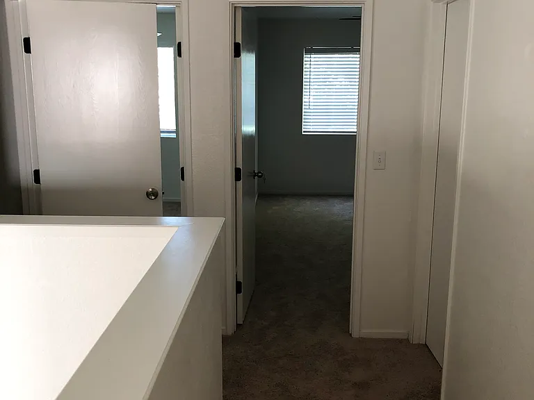 8742 Weeping Birch Ln — Photo 13