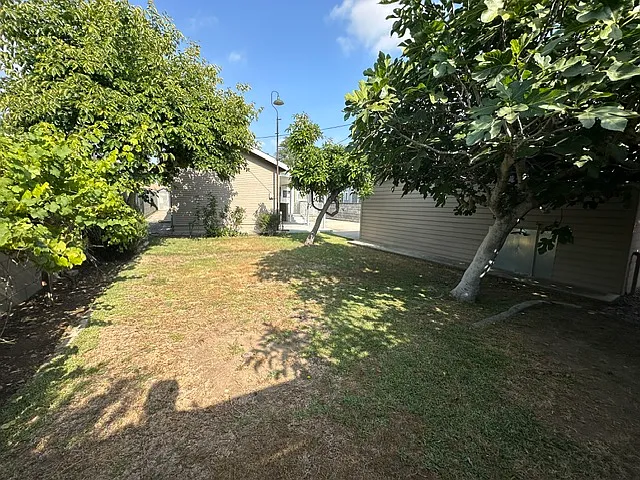 Nice yard with fruit trees.