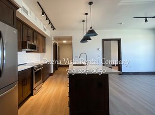 505 S Court St #206, Buena Vista, CO 81211