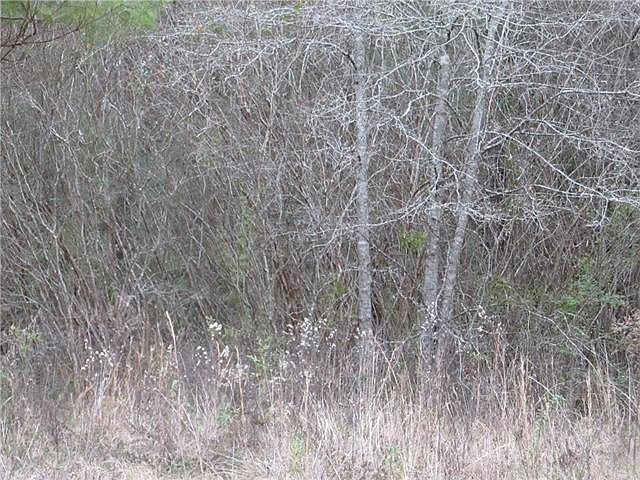 1st image of 140 Keeneland Place Loop Loop
