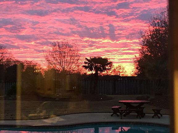 Backyard sunset