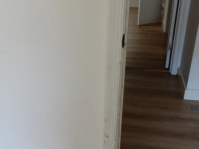 807 Lex St — Photo 9