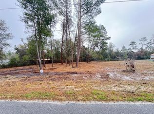 Palm St Lot 9, Paisley, FL 32767