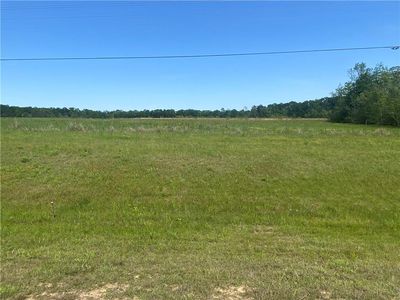 TRACT 2 Highway 171, Deridder, LA, 70634