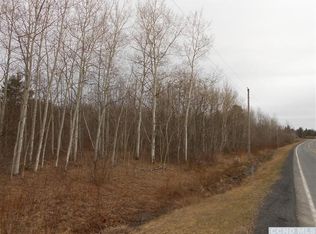 0 Route 360, Rensselaerville, NY 12147