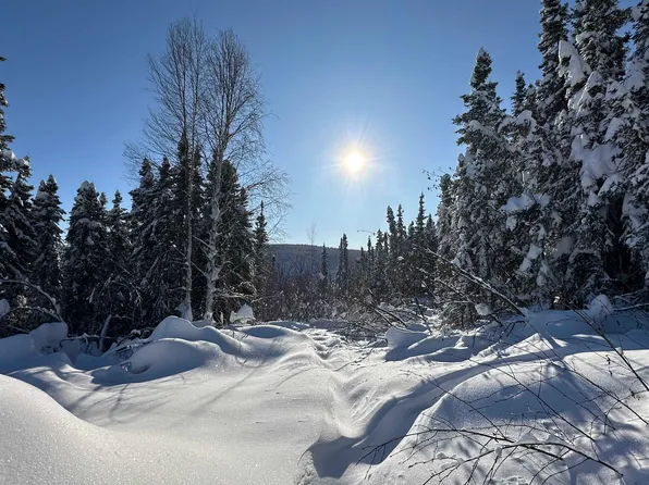 Nhn Elaine Way, Fairbanks, AK 99709