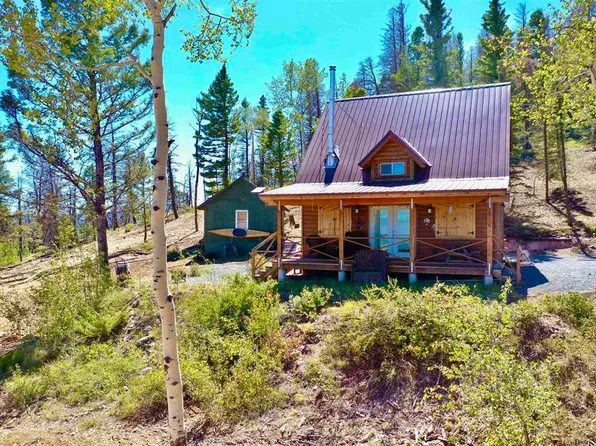 851 Kebler Trail, Powderhorn, CO 81243