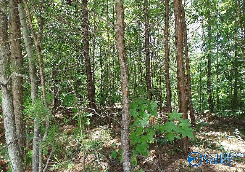 2nd image of 46 Valley Trl