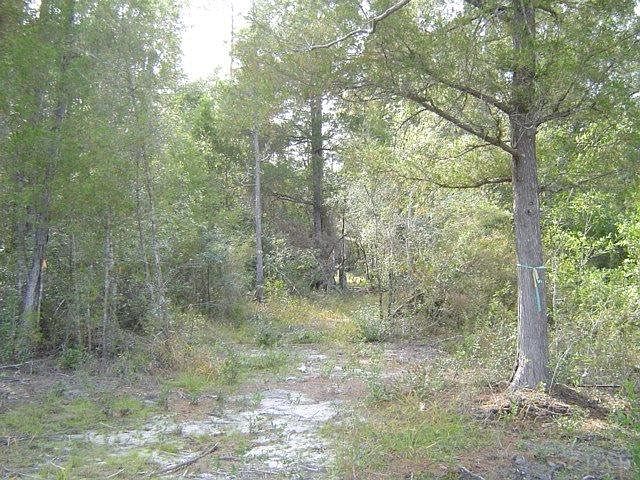 2nd image of 4925 Creekside Ln