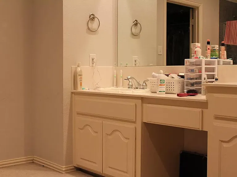 424 Lacebark Dr — Photo 9