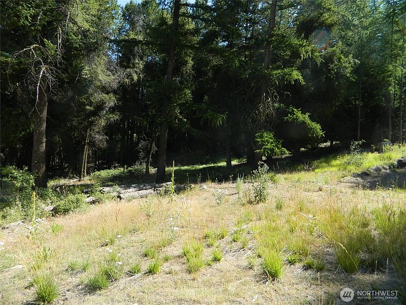 5th image of 0 TBD Snowbunny Ridge Drive