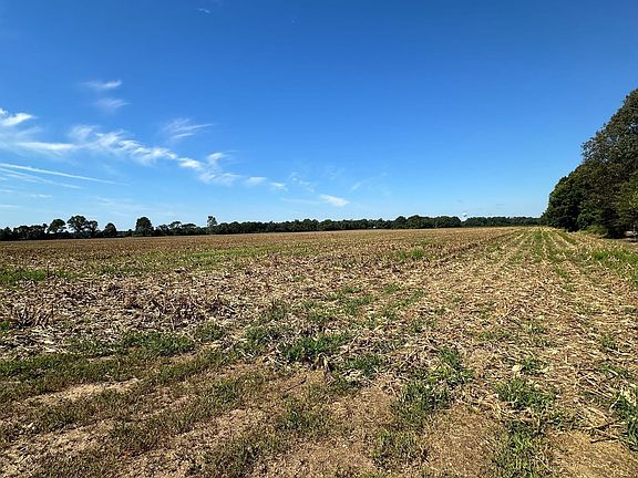 3rd image of Highway 82 E