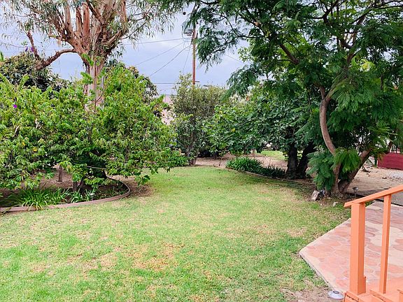 Large backyard, far beyond the grass, with many shady mature fruit trees