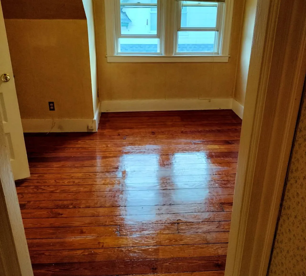 2 bed, 899 sqft, $1,500 — Photo 3