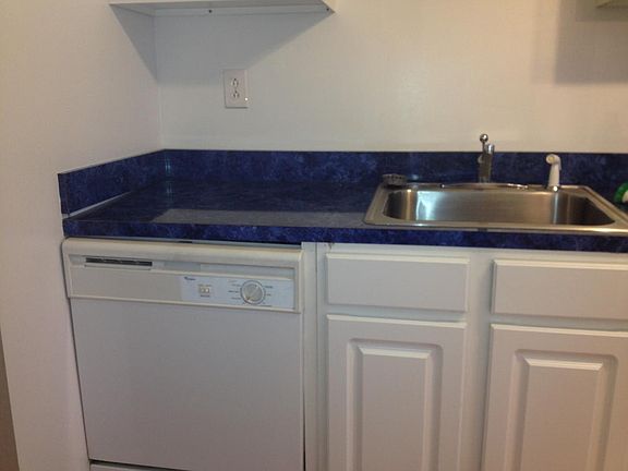 Dishwasher & Kitchen Sink