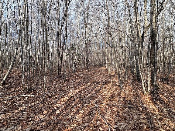 4th image of Lot 7-14 Beechwood Avenue N