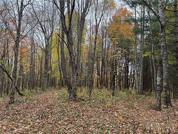 5th image of TBD Rominger Road
