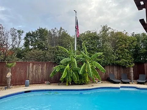 7115 Crooked Oak Dr — Photo 4