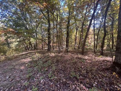 20 Wauka Mountain Rd, Clermont, GA, 30527