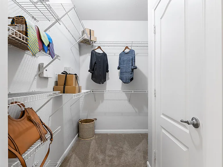 Spacious Walk-In Closet