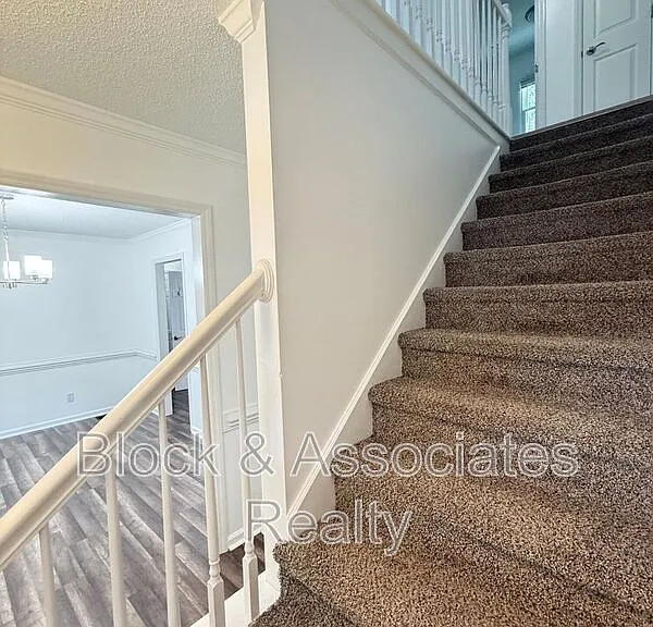 401 Holly Berry Ln — Photo 13