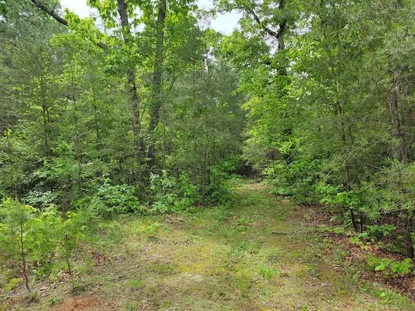 Tbd4 Shortcut Rd, Woolwine, VA 24185
