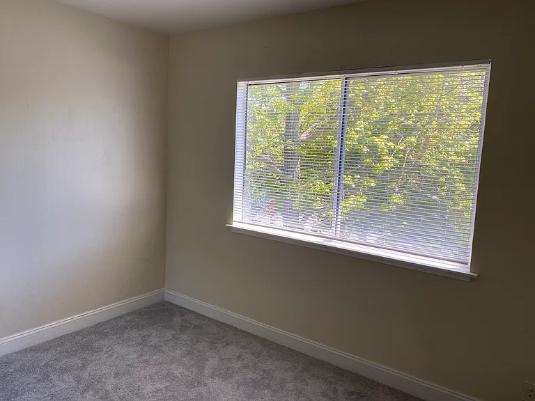 125 Sierra Dr — Photo 4