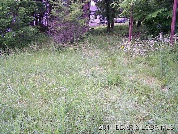 2nd image of 0 Nuttall Oak Ln