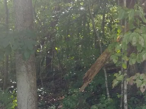 106 Southerland Pvt Dr, Elizabethton, TN 37643