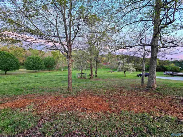 LOT 21 Hess Dr, Bridgeport, AL 35740