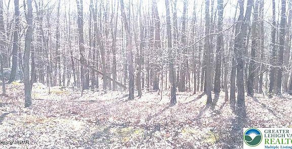 2nd image of 407 Sassfras Rd